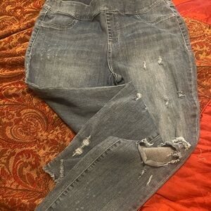 Lane Bryant pull on ankle Jeans EXCELLENT condition size 16